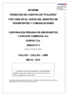 Vista preliminar de documento INFORME RENDICION_MTC_MAYO_2025_FINAL