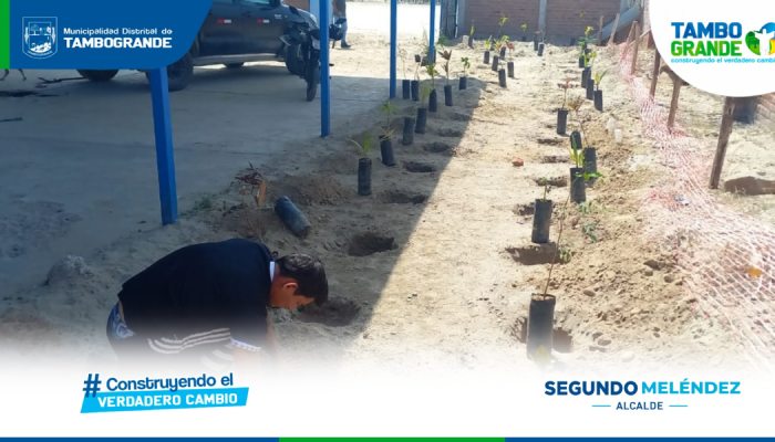 reforestamos con los estudiantes de la i.e. 20452 Jorge Chávez por un Tambogrande más verde
