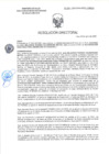 Vista preliminar de documento RD-2393-2025-DSAIA-DIRIS-LE-MINSA