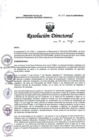 Vista preliminar de documento RD N° 175-2025-DG-INMP/MINSA