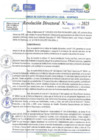 Vista preliminar de documento RD N 00420