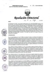 Vista preliminar de documento RD N° 176-2025-DG-INMP/MINSA