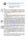 Vista preliminar de documento R.D. N° 196-2025-MPP-OGAT