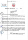 Vista preliminar de documento RD N 00529