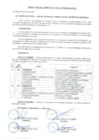 Vista preliminar de documento RESOLUCIÓN DEL COMITÉ ELECTORAL Nº 009-2025-JVC-CE