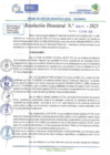 Vista preliminar de documento RD N 00618