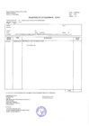 Vista preliminar de documento TDR