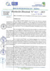 Vista preliminar de documento RD N 00646