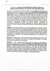 Vista preliminar de documento I AUDIENCIA PÚBLICA