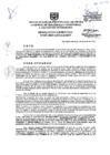 Vista preliminar de documento Resolución Gerencial N° 007-2025-GDTyGI-MPP 