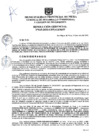 Vista preliminar de documento Resolución Gerencial N° 015-2025-GDTyGI-MPP