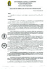 Vista preliminar de documento RCF_029_2025_FI_UNAAT