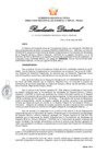 Vista preliminar de documento rd-128-2025