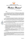 Vista preliminar de documento rd-132-2025