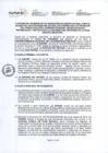 Vista preliminar de documento CNV-3933 Convenio de adhesión de colaboración interinstitucional entre la Sunarp y la Municipalidad Distrital de Chavín, Ica, para el acceso a la información de la Base Gráfica Registral