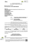 Vista preliminar de documento OFICIO MULTIPLE-000174-2025-DGP