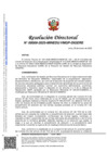 Vista preliminar de documento RESOLUCION_DIRECTORAL-00009-2025-MINEDU-VMGP-DIGERE