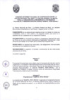Vista preliminar de documento ANEXO 0982-2025-IN