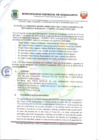 Vista preliminar de documento I SESION CODISEC20250603