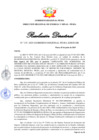 Vista preliminar de documento RD135-2025