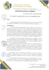Vista preliminar de documento 31