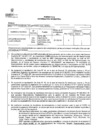 Vista preliminar de documento FORMATO G II-2024