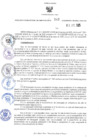 Vista preliminar de documento ORA.242