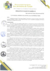 Vista preliminar de documento 41