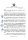 Vista preliminar de documento rd109