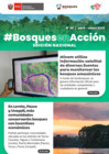 Vista preliminar de documento Boletín Bosques en Acción ed. nacional (abril - mayo 2025)