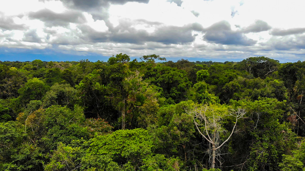 Archivo JPGE del OSINFOR y Programa PAIS inician travesía para promover el manejo sostenible de los bosques en las comunidades nativas de Atalaya