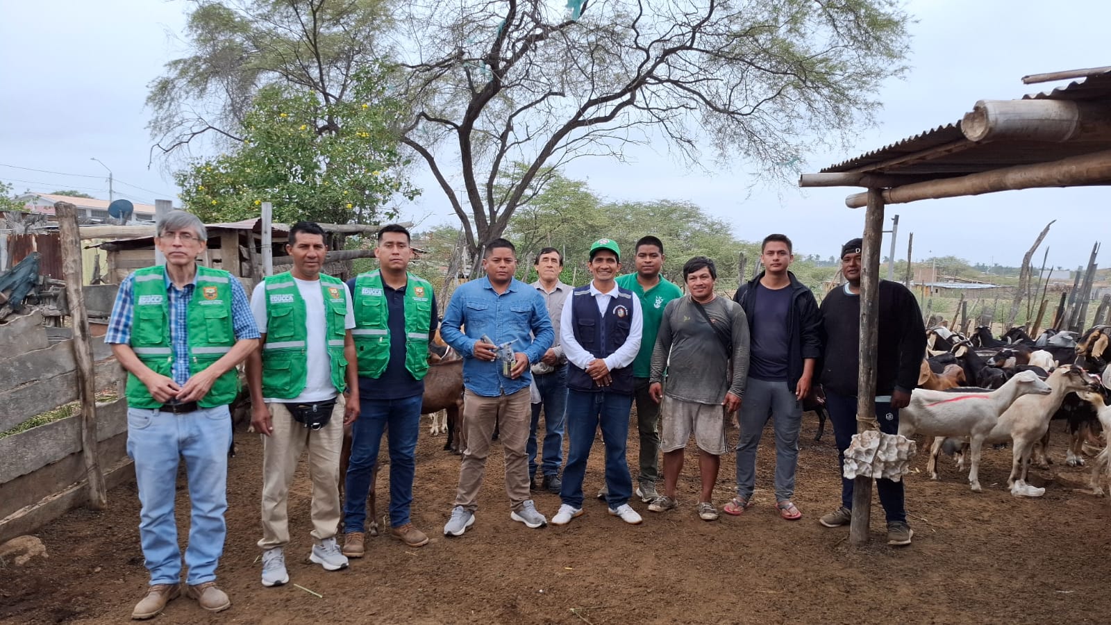 Alcalde Marlem Mogollón protege el sustento ganadero con vacunación masiva en Salitral