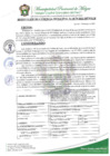 Vista preliminar de documento RESOLUCIÓN DE GERENCIA MUNICIPAL Nº 0170-2025-MPM GM