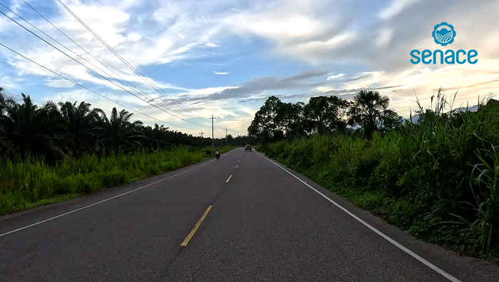 NDP000173