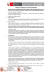 Vista preliminar de documento TDR