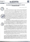 Vista preliminar de documento resolución N° 006