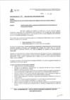 Vista preliminar de documento oficio multiple 333