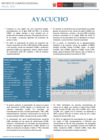 Vista preliminar de documento RCR Ayacucho- Anual 2024