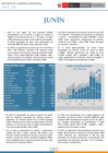Vista preliminar de documento RCR Junín - Anual  2024