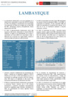 Vista preliminar de documento RCR Lambayeque - Anual 2024