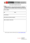 Vista preliminar de documento Formato de Consulta Ciudadana