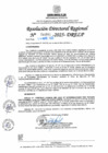 Vista preliminar de documento RDR N° 000991-2025-DRELP