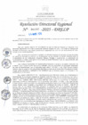 Vista preliminar de documento RDR N° 000993-2025-DRELP