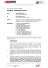 Vista preliminar de documento INFORME-000099-MAR-2025-P.N