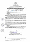 Vista preliminar de documento RDR N° 000995-2025-DRELP