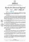 Vista preliminar de documento RDR N° 000996-2025-DRELP