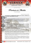 Vista preliminar de documento RES_ALCALDIA N° 124-2024
