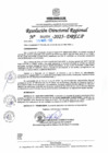 Vista preliminar de documento RDR N° 000998-2025-DRELP