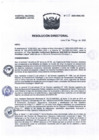 Vista preliminar de documento R.D. N°115-2025-HNAL-DG