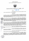 Vista preliminar de documento RDR N° 001000-2025-DRELP